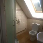 Zielona Polana Bauernhof Funkelkau