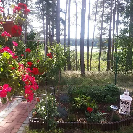 Zielona Polana Wąglikowice