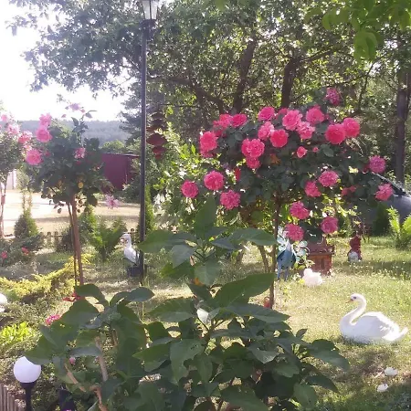 Gospodarstwo agroturystyczne Zielona Polana