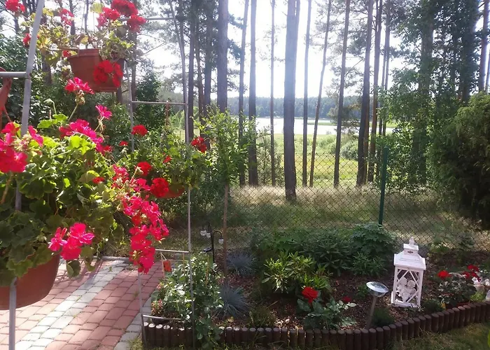 Zielona Polana Wąglikowice